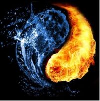 Fire and Ice: The Solar Race