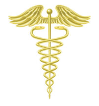 Some Aspects of the Traditional Medical World View: The Demiourgos-Physician