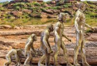 Esoteric Darwinism