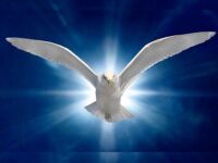 The Holy Ghost Movement