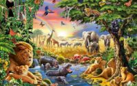 The Concept of Existence