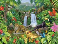 Dreaming with the Animals