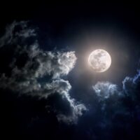 Embracing Insomnia