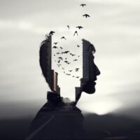 The Emptiness of Meaning