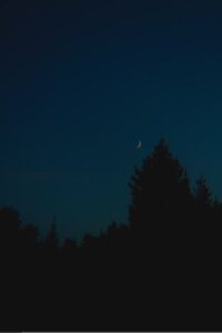 Sonnet: Nocturne